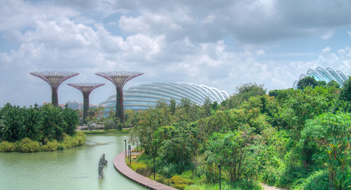 Gardens by the bay