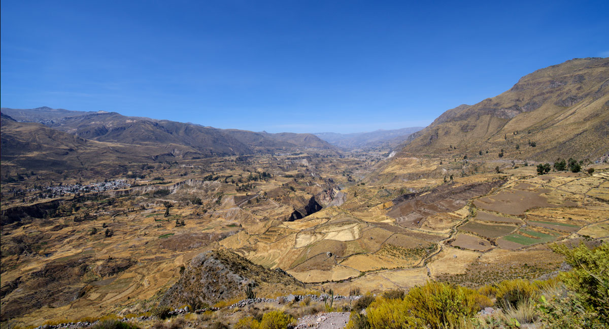 Panorama of Colca Canyon