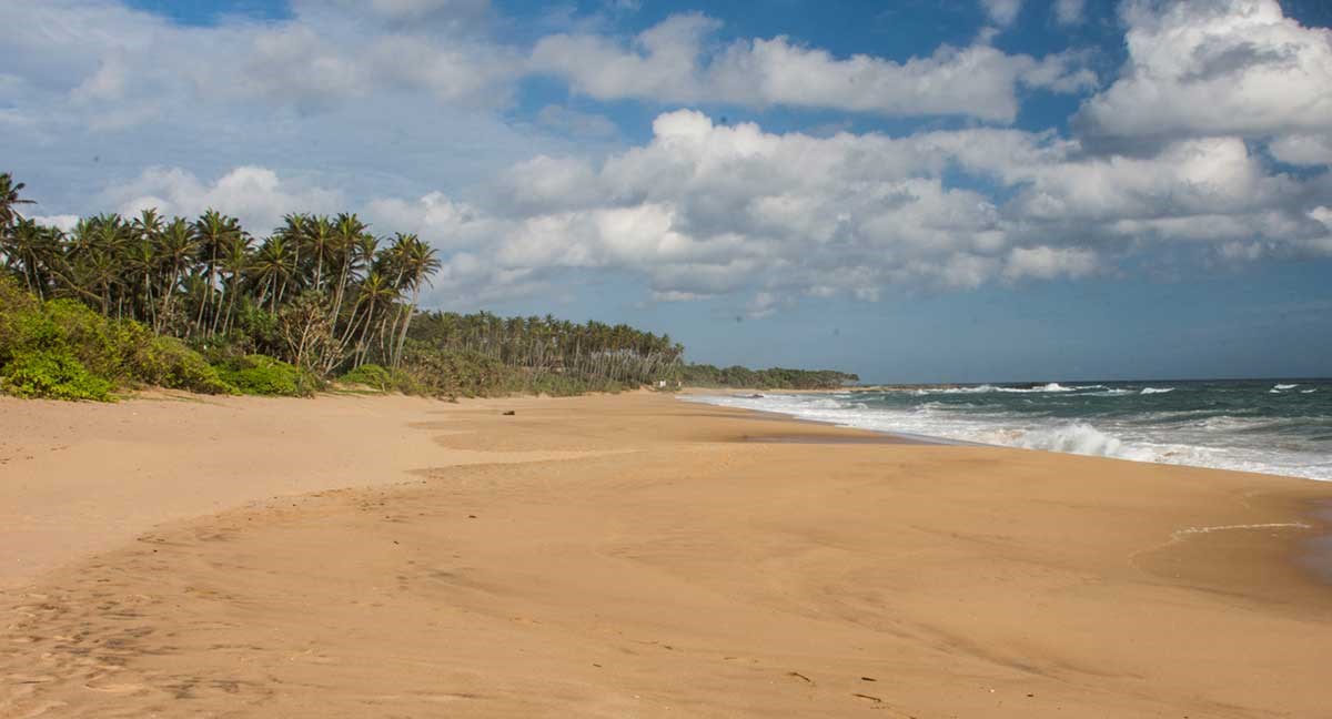 The best of South Coast Sri Lanka